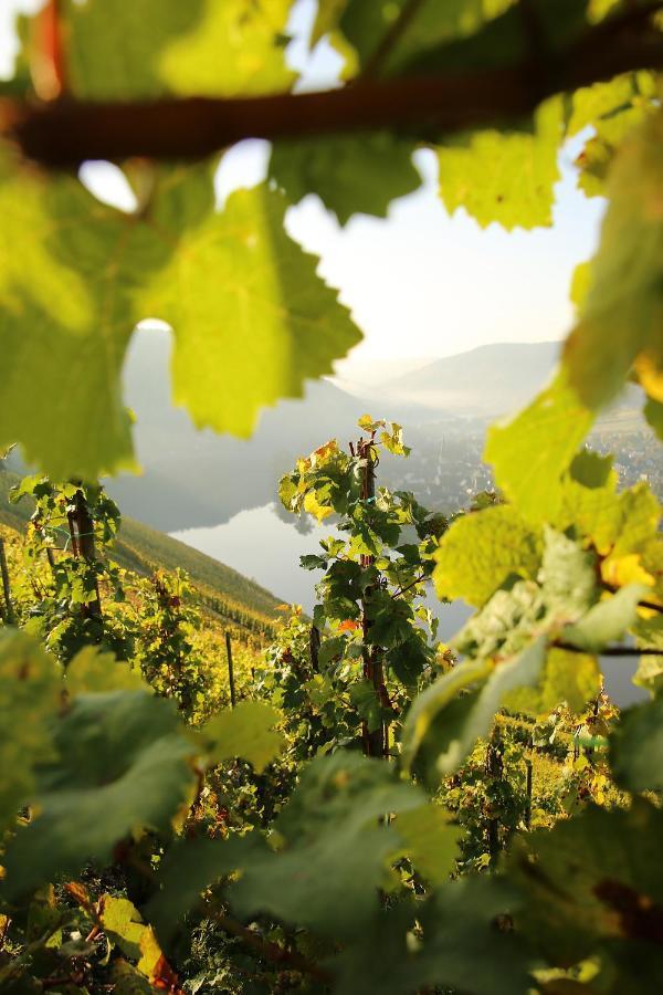 Wein Und Gaestehaus Huels Креф Экстерьер фото